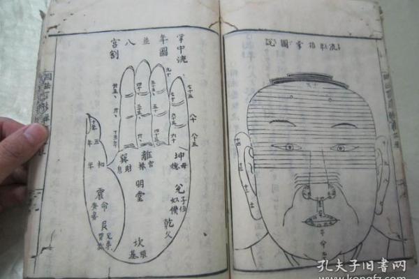 农历五月水浒宝宝的命运解析：神秘的命理与个性特征