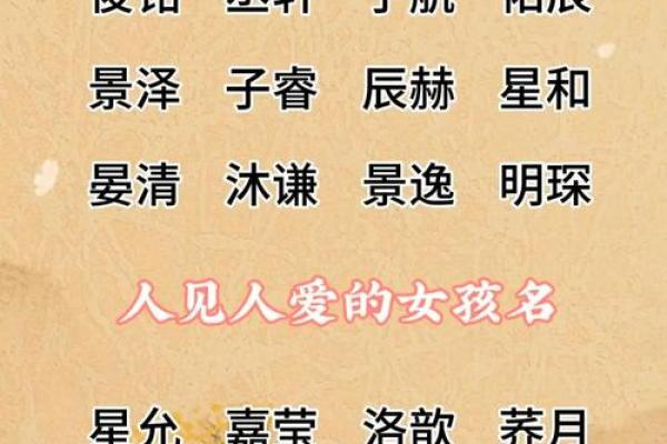 木命女与命男的最佳搭配，探寻情感与命理的完美结合