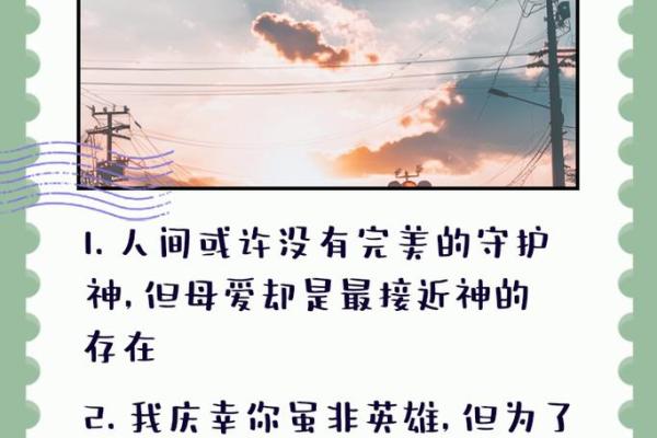 人间真情:一位母亲用生命换来的爱与守护 人间真情:一位母亲用生命换来的爱与守护