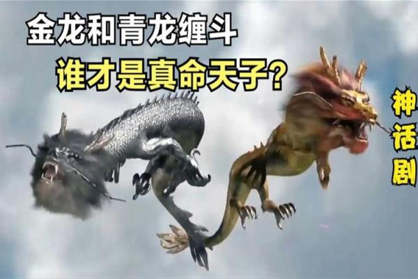 青龙命:人生的智慧与性格解析 青龙命:人生的智慧与性格解析