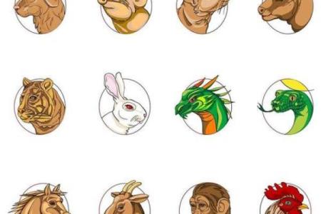 舒命陪君子，解读生肖与命运的深意