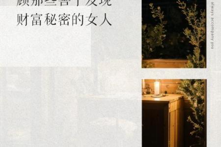 木命女性与财运：最佳搭配如何助力人生成功！