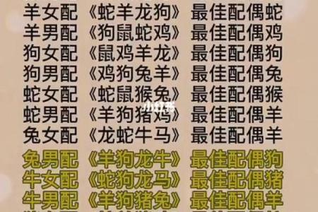 生肖命理中的完美夫妻组合，探讨命合与命克的精彩故事