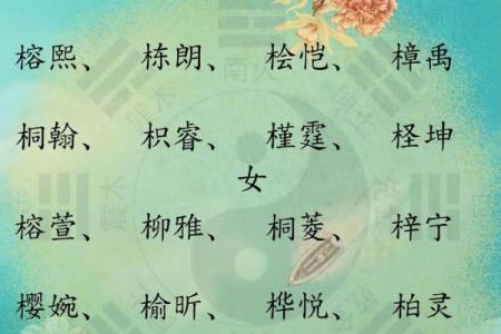 木命人如何选择合适的名字？揭开命理与命名的奥秘！