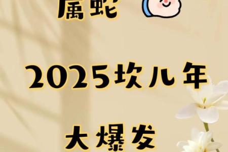 揭秘1960年属蛇人的命运与性格特征