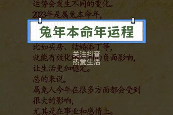 属猪人在2023年最怕什么?运势解析与应对策略 属猪人在2023年最怕什么?运势解析与应对策略