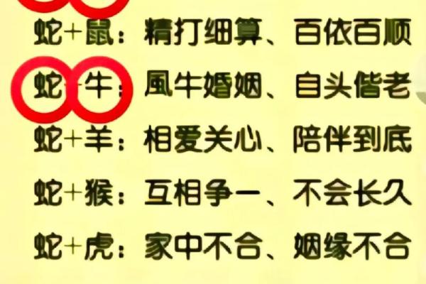 根据十二生肖看哪些生肖命最好，揭示你的幸运之星！