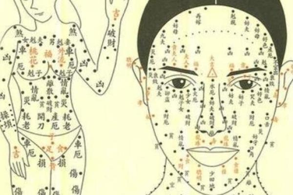 女儿11月初4生日的命理解析与人生运势展望