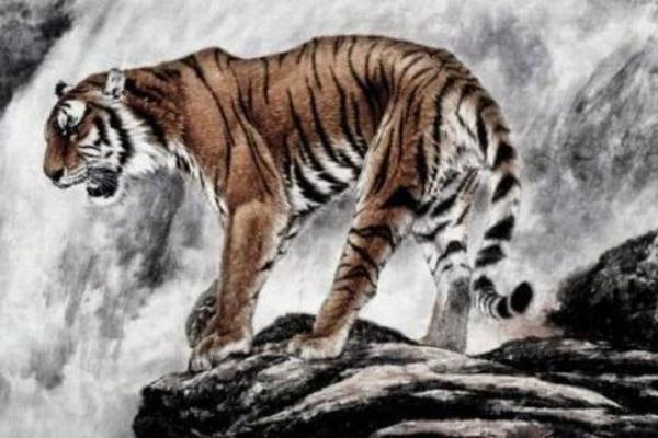 属虎女性苦命的宿命与人生哲学探讨