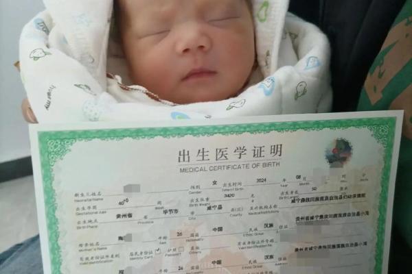 属虎的今年出生小宝宝:我们来探讨他们的命运与人生之路 属虎的今年出生小宝宝:我们来探讨他们的命运与人生之路