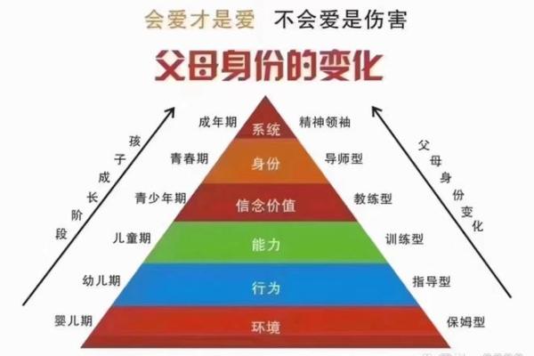 家人的命:亲情的纽带与生活的支撑 家人的命:亲情的纽带与生活的支撑
