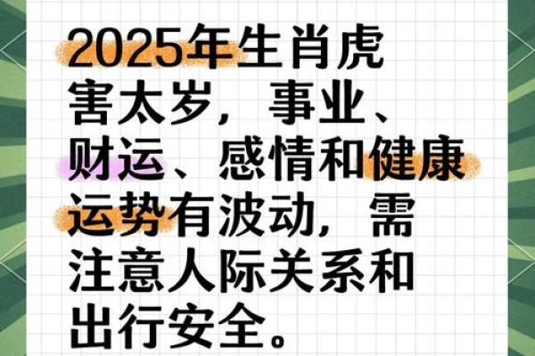 壬寅年12月的虎命解析：生机盎然的冬日财富与成长之路