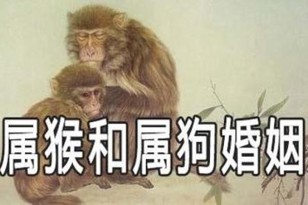 属狗木命的人:了解命理缺失生肖的秘密与改善之道 属狗木命的人:了解命理缺失生肖的秘密与改善之道