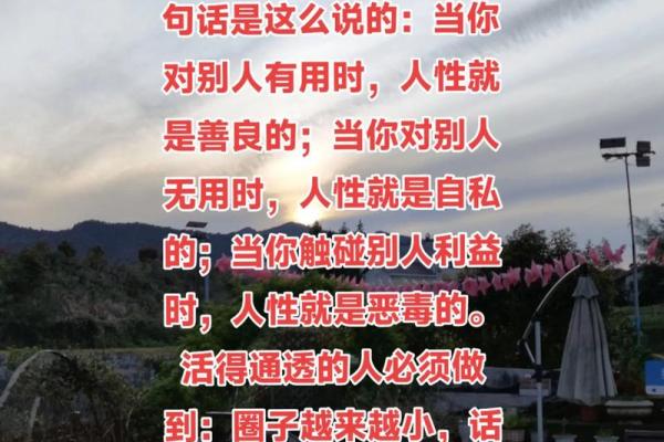 人丑命贵重:外貌与生存的无形博弈 人丑命贵重:外貌与生存的无形博弈