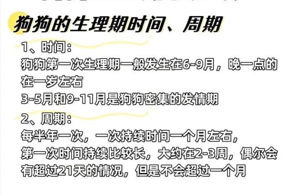 农历八月初二出生的狗宝宝：命运与性格解读