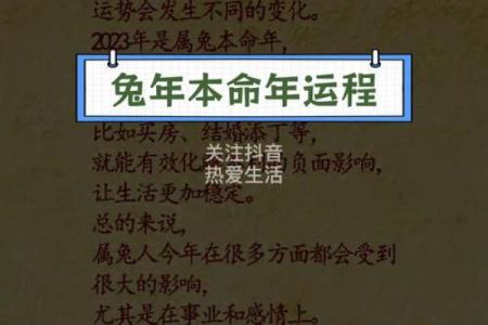 属猪人在2023年最怕什么？运势解析与应对策略