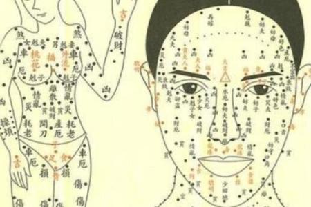 女儿11月初4生日的命理解析与人生运势展望