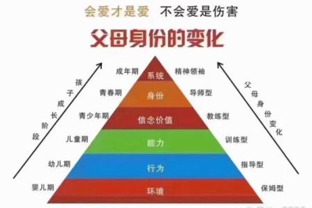 家人的命：亲情的纽带与生活的支撑