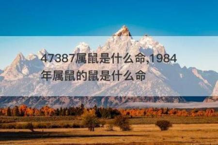 属鼠二月生的人命运解析：财富与智慧并存的玄机