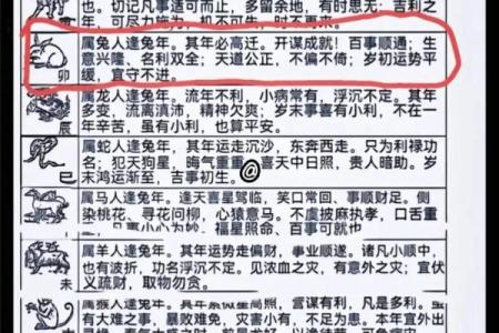 属狗人士2023年71岁，探讨其命运与人生启示