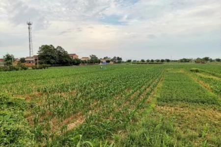 农村人的命运：在田间地头的坚韧与希望