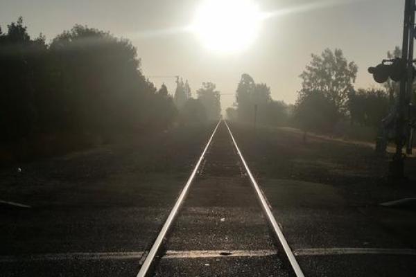 命运的迷雾：勇敢追寻自己的路