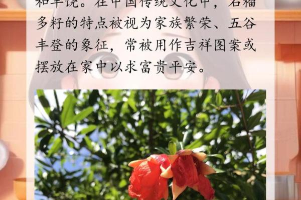 石榴木命与花卉搭配:适合种植的花卉推荐与养护技巧 石榴木命与花卉搭配:适合种植的花卉推荐与养护技巧