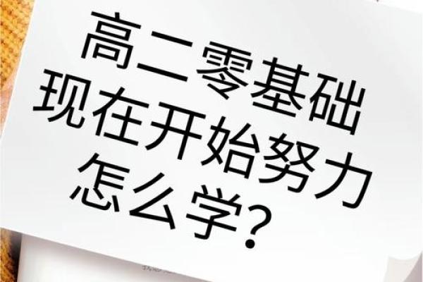 如何在高三逆袭:成功的心态与行动之道 如何在高三逆袭:成功的心态与行动之道