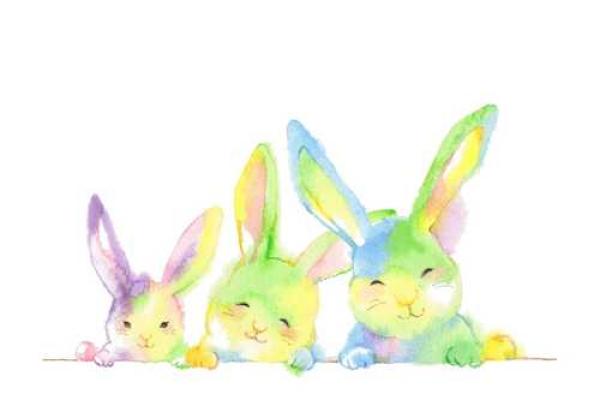 属狗五月出生的命运解析:性格与生活的完美交融 属狗五月出生的命运解析:性格与生活的完美交融