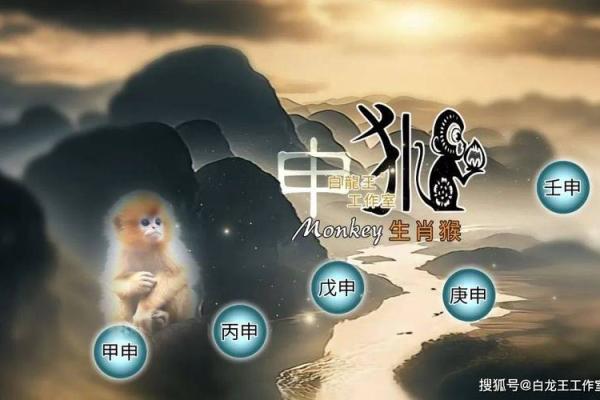 属猴人在农历五月中的命理解析与运势展望 属猴人在农历五月中的命理解析与运势展望
