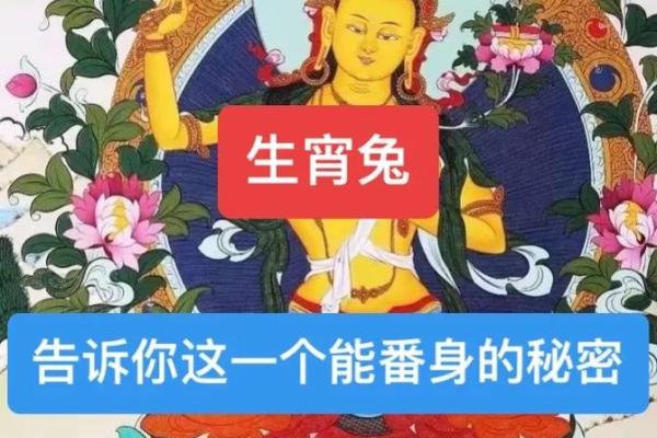七五年属兔人的命运与人生解读:智慧与温柔的结合 七五年属兔人的命运与人生解读:智慧与温柔的结合