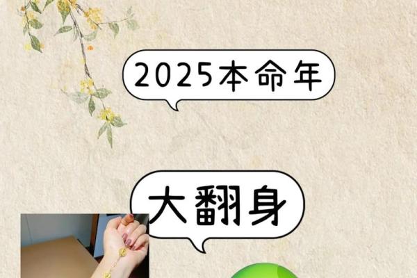 属蛇人的命理解析:2017年的运势与生活指导 属蛇人的命理解析:2017年的运势与生活指导