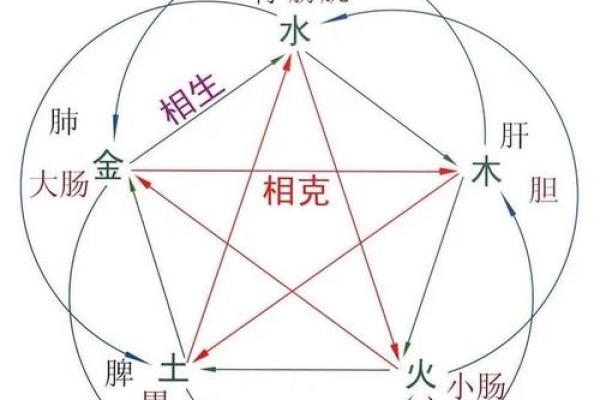 木命与其他五行相生相克的深度探讨 木命与其他五行相生相克的深度探讨