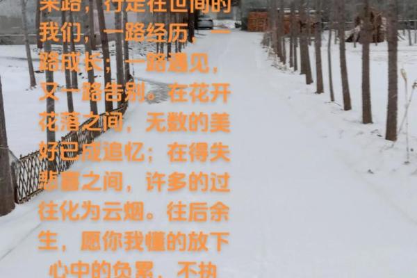 三年时光如白驹过隙,人生能否重启新生? 三年时光如白驹过隙,人生能否重启新生?