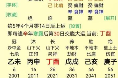 揭示命理：你是否拥有当官的命格？探秘成功之路！