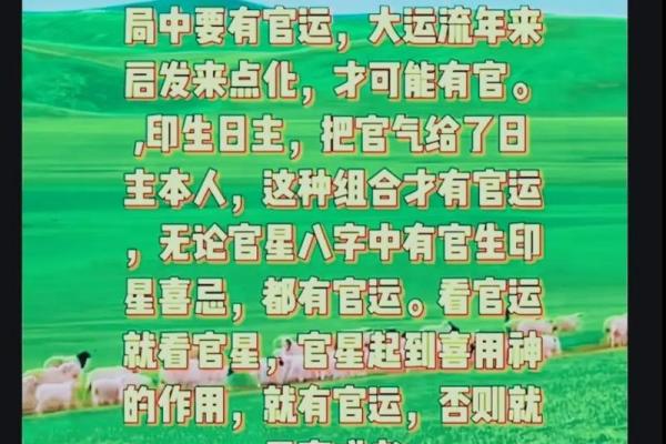 揭开八字之谜：女人什么八字最漂亮，命运最佳！