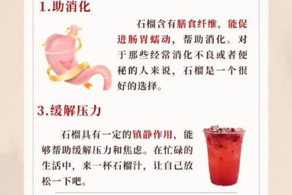 关于石榴木命男人适合养什么的全面解读与建议 关于石榴木命男人适合养什么的全面解读与建议