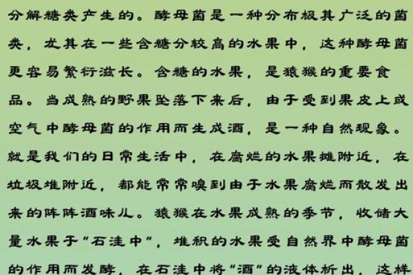 嗜酒如命:探寻酒迷的神秘体质与背后的奥秘 嗜酒如命:探寻酒迷的神秘体质与背后的奥秘