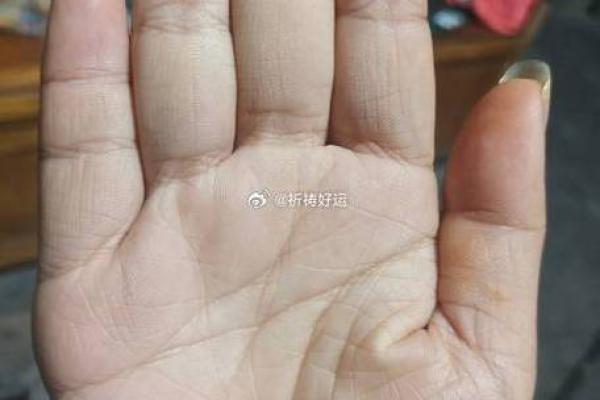 揭秘命运不佳的三种手纹,让你洞悉人生运势! 揭秘命运不佳的三种手纹,让你洞悉人生运势!