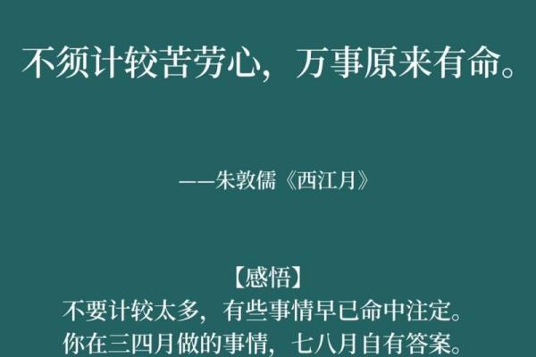 三子存一命格的深刻哲理与人生启示