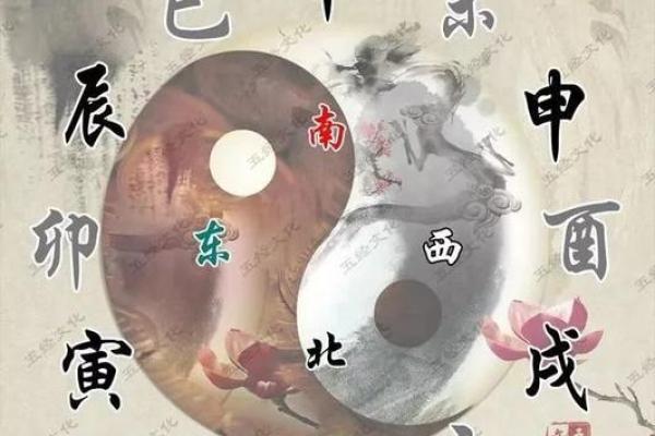 深度解析三金三木一土一水命理之玄妙