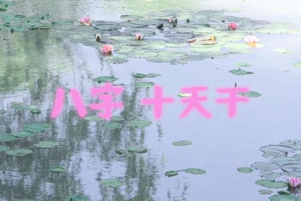 癸水女命:探秘天干中的柔情与力量 癸水女命:探秘天干中的柔情与力量