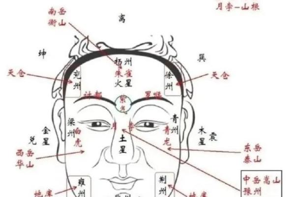 揭秘天煞孤星命格:如何识别与调理此命运特征 揭秘天煞孤星命格:如何识别与调理此命运特征