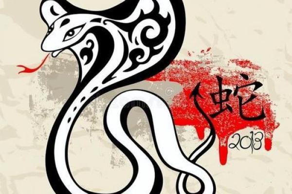 命运与生肖：探寻生死交织的神秘之旅