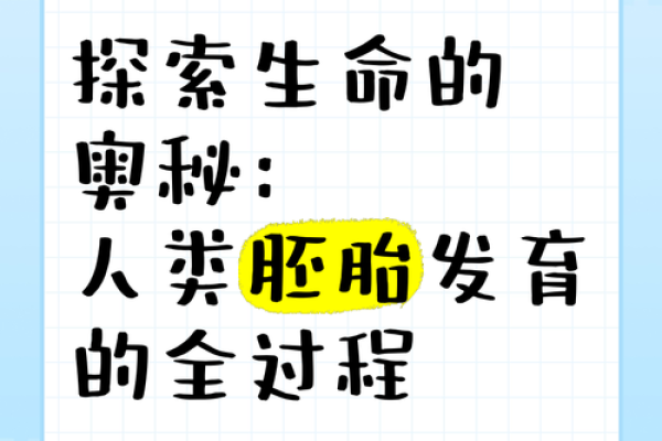 十月十七生日的命运解析:探索生命的奥秘与精彩 十月十七生日的命运解析:探索生命的奥秘与精彩