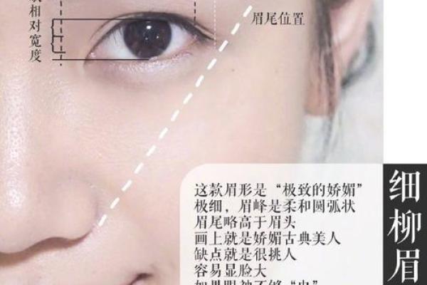 眉形与命运：揭秘富贵女人的眉毛特征