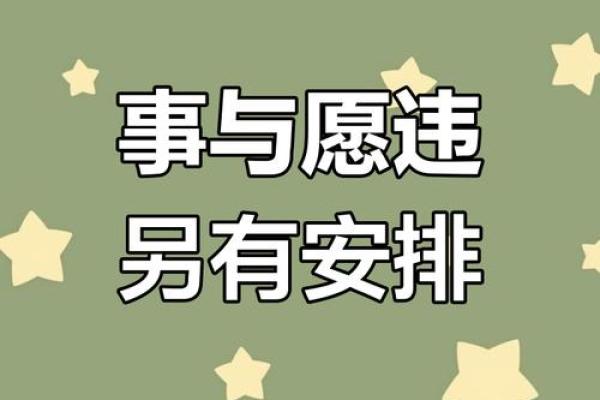 命运的安排：那些注定孤独终老的人生轨迹