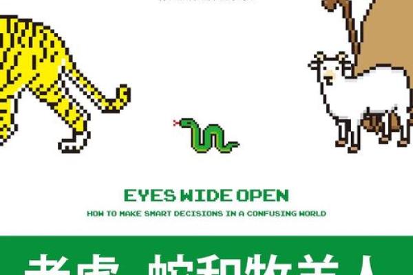 属虎和属狗的命运交织：真相与解析