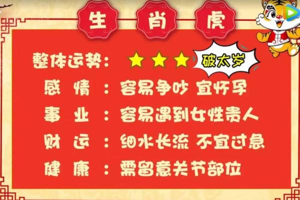 属虎和属狗的命运交织：真相与解析