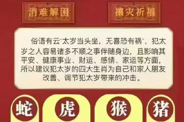 属虎女孩的牛进食命运解析：命理背后的深意与启示